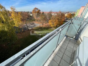 Prodej slunného bytu 2+1 s balkonem s krásným výhledem, Plze - 3