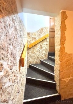 Pronájem nebytových prostor - 3