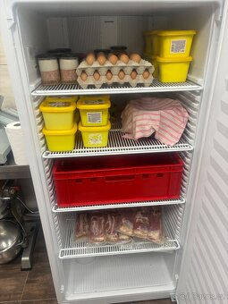 Gastro lednice Liebherr MRFvc5501 - 3