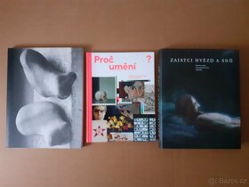 umění Šťourač, Sekal, Zemina, Royt, Palcr, Ruskin - 3