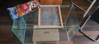 Terarium - 3