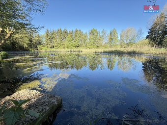 Prodej vodní plochy, 5965 m², Rychnov nad Kněžnou - 3