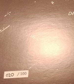 Šanov 1 - Live 1990 (LP) limitka - 3