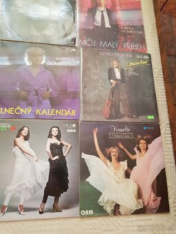 LP VINYLOVÉ DESKY - 3