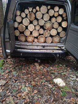 Palivové dřevo_různé varianty - 3