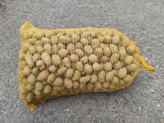 PRODÁM KONZUMNÍ BRAMBORY - 3