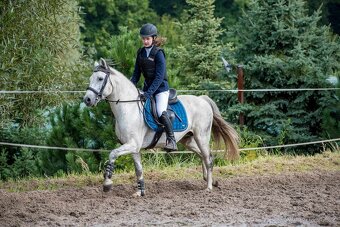 Připouštění hřebcem ČSP 2352 Lucky - 3