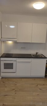 Pronájem 1+kk s lodžií, Zruč nad Sázavou – po rekonstrukci - 3