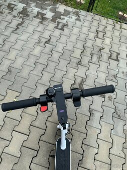 Koloběžka Gogen Voyager Lite S201B - 3