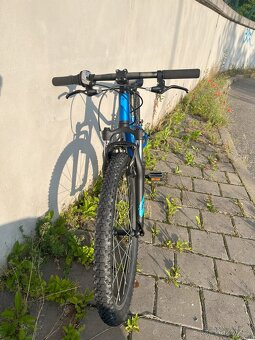 Superior Racer XC 24 (1 x 8) - 3
