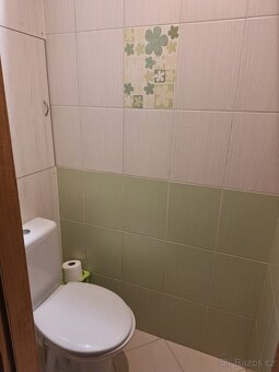 Pronájem bytu 3+1 s balkonem v Jindřichově Hradci - 3