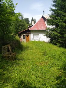 Chalúpka na samote u lesa úžasné okoli - 3