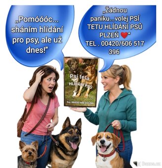 Pohlídám vašeho pejska Plzeň - 3