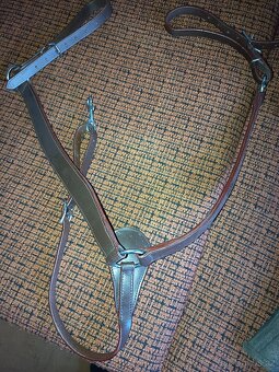 Rajtky,poprsak, páska, biče,chapsy. - 3