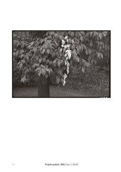 JIŘÍ FOLTÝN: UPRAVENÉ KRAJINY - 3