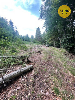Trvale travní plocha se stavebním pozemkem uprostřed, 128222 - 3