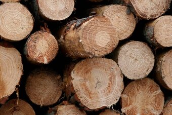 Palivové dřevo akce sypané - 3