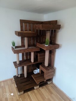 Strom pro kočky, škrábadlo, domeček - 3