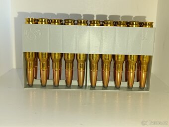 308 Winchester SP - 3