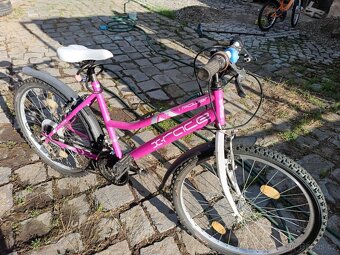 Dívčí kolo vel.24 - 3