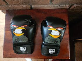 Venum dětské boxerské rukavice 4.OZ Angry Birds box thaibox - 3