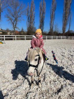 Líbivá pony klisna - 3