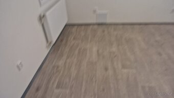 byt 4kk v Novém Boru , bez realitky - 3