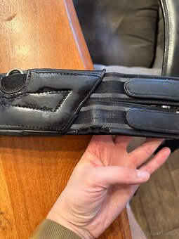 Kentaur podbřišníky - 3