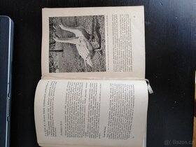 Plemenitba drůbeže J. Podhradsky - 3