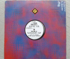 Gramodesky (vinyl) – hip hop, house, taneční, od 80 Kč - 3