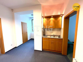 Pronájem přízemí vily. Reprezentativní prostory., 132662 - 3