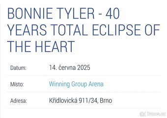 Bonnie Tyler Brno 14.6.2025 - 3