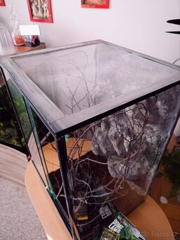 Nové terárium s 3D stěnou a příslušenstvím - 3
