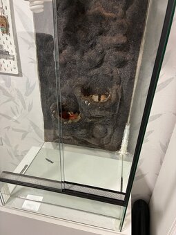 Terárium pro chameleona - 3