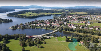 Prodej, pozemek pro komerční využití, 10.831 m2, Frymburk - 3