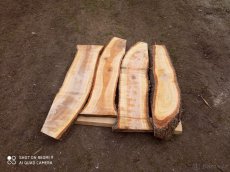 Fošny třešeň - 3