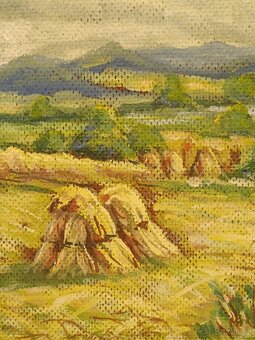 Obraz Slezák, Žně olej na desce 36x49 - 3