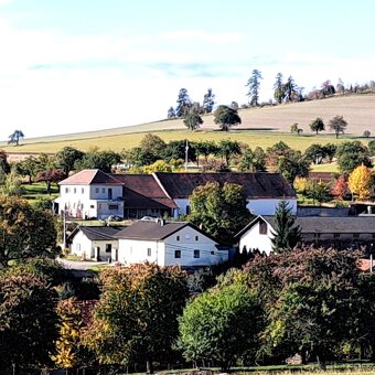 Prodám zemědělskou usedlost s pozemky - 3