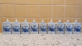 Cibulák kořenky - 3