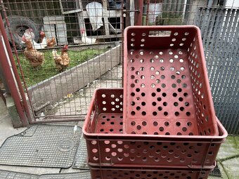 Plastové přepravky - různé druhy - 3