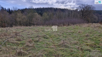 Prodej pozemku o 2983m2 ve Zlaté u Kynšperka nad Ohří - 3