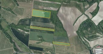 Sady, vinice, prodej, Želkovice, Louny - 3