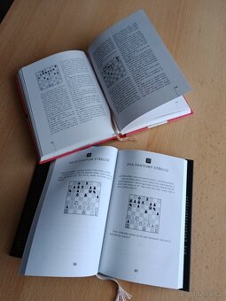 Můj šachový svět - 3