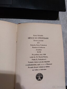 Karin Michaëlis – Děvče se střepinami I. - 3