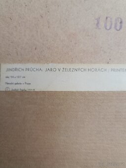 Jaro v Železných horách - obraz - 3