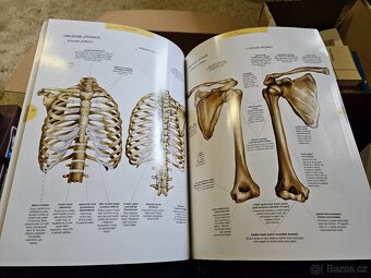 Atlas lidského těla - 3