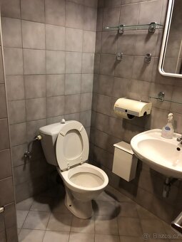 Sanitární vybavení – umyvadla, pisoáry, WC – různé typy - 3
