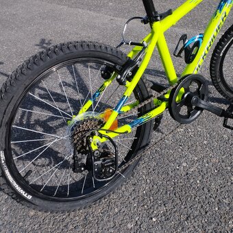 Rockrider - 3