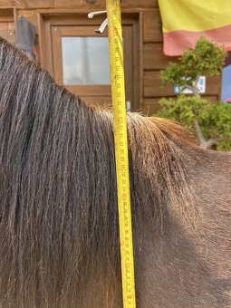Pony valášek - 3