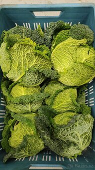 🌿 Farma24 – čerstvá zelenina přímo od farmářů 🌿 - 3